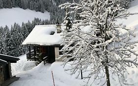 Chalet Lys Apartment 14 Rue Sigma